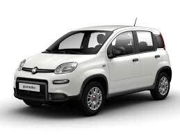 Fiat Panda 1.2 Easy Idonea Neopatentati