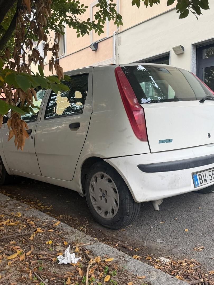 Fiat Punto