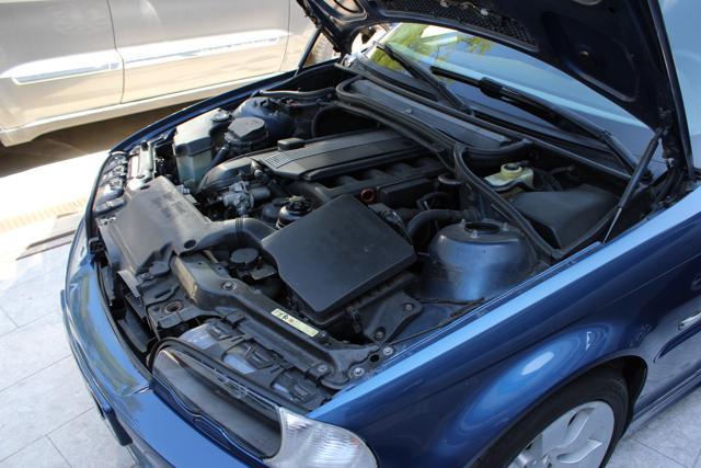 BMW 330 Ci cat