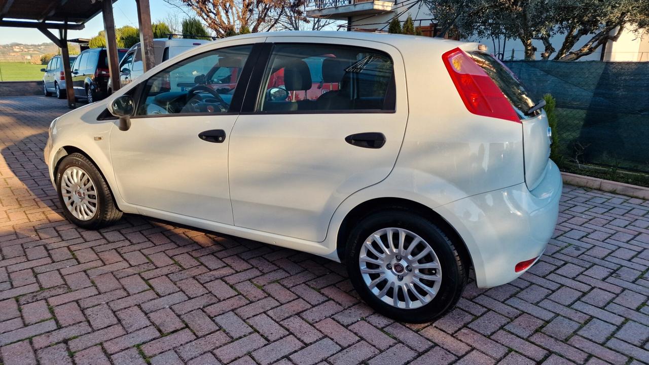 Fiat Punto 1.2 8V 5 porte Street