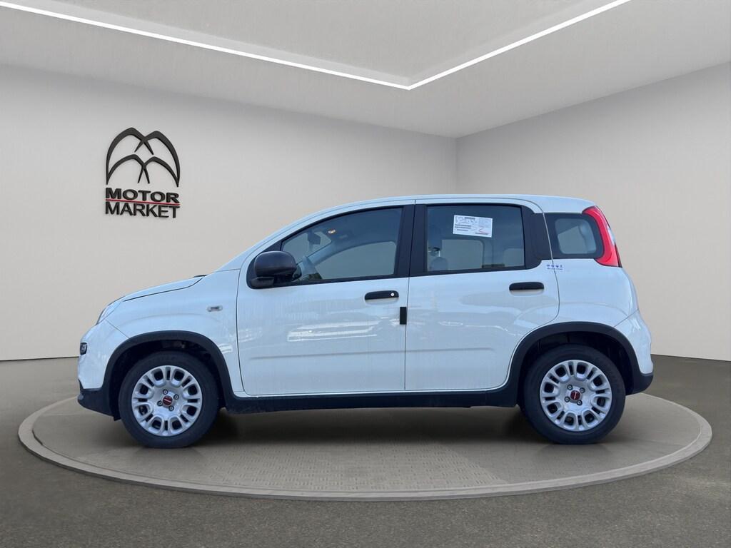 Fiat Panda 1.0 FireFly Hybrid