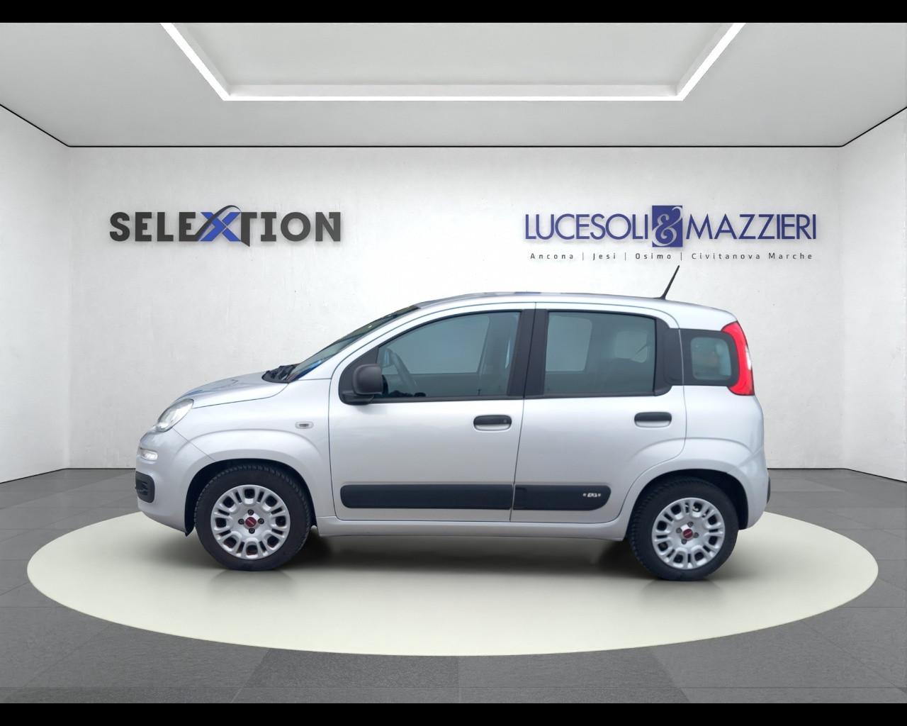FIAT PANDA - Panda 1.0 FireFly S&S Hybrid Easy