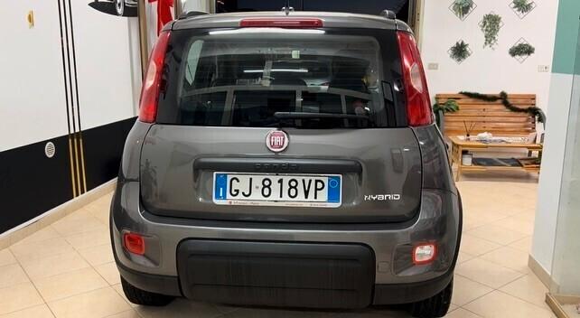 FIAT PANDA IBRIDA 2022 - Cc 1.0 - Cv 69