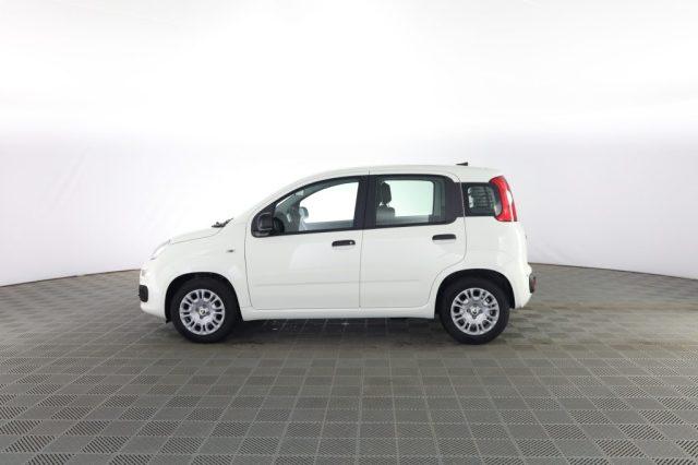 FIAT Panda Pandina 1.0 FireFly 65 CV Hybrid Icon