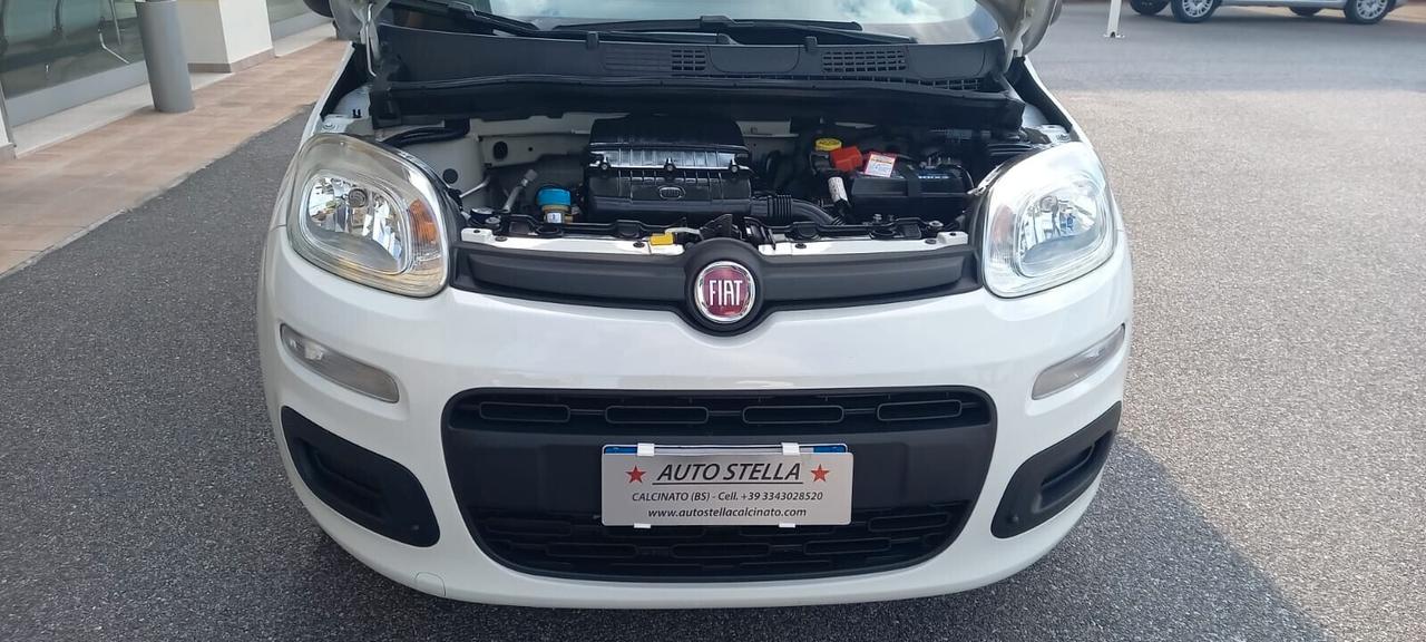 Fiat Panda Benzina cc. 1.242 5 Porte 5 Posti SOLO 55.075 Chilometri Utilizzabile anche per i Neopatentati.