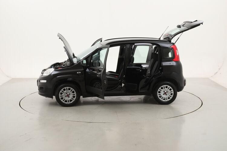 Fiat Panda Lounge BZ059531 1.2 Benzina 69CV