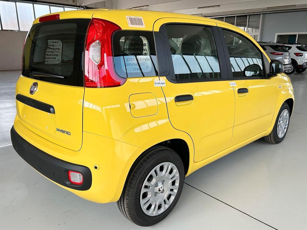 Fiat Panda Pandina 1.0 FireFly 65 CV Hybrid Icon