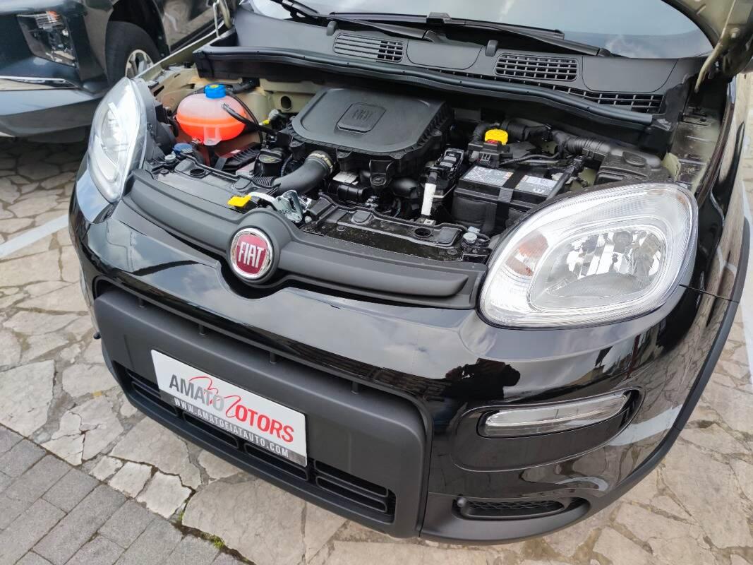 Fiat Panda III 1.0 firefly hybrid s&s 70cv