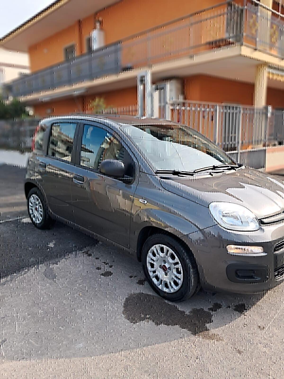 Fiat Panda 1.0 FireFly S&S Hybrid