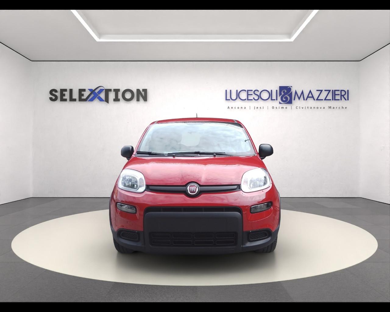 FIAT Panda 3ª serie - Panda 1.0 FireFly S&S Hybrid
