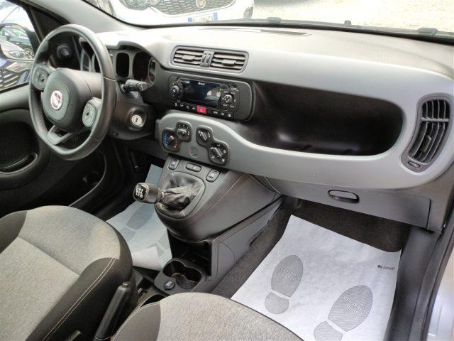 FIAT Panda 1.2 Lounge OK NEOPATENT. CLIMA,FENDINEBBIA ..