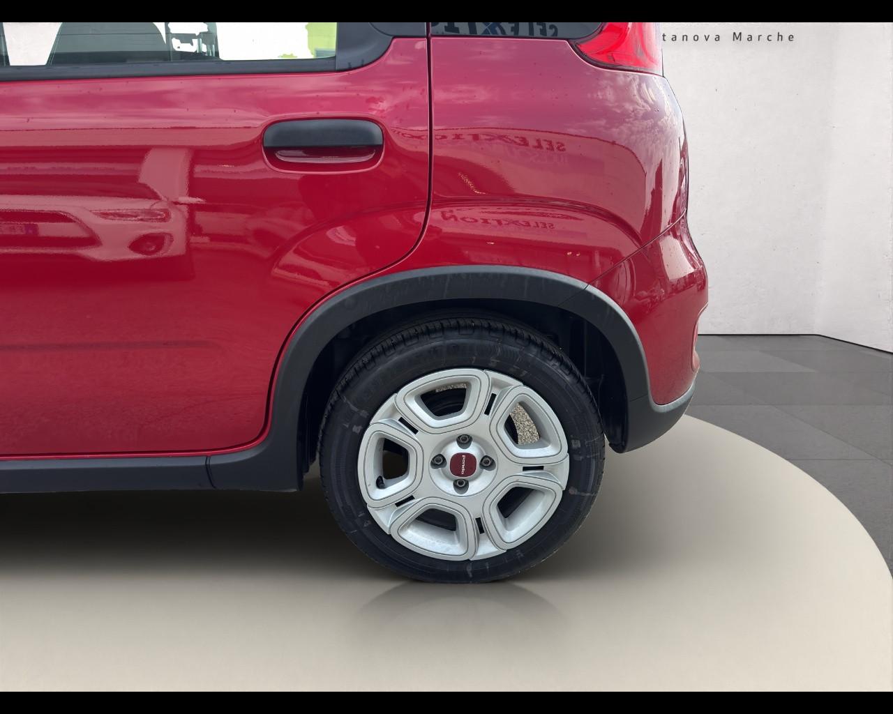 FIAT Panda My23 1.0 70cv Hybrid Panda