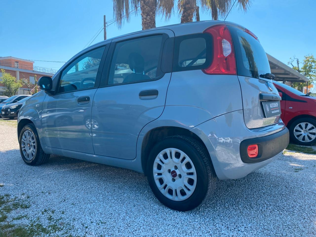 FIAT - Panda - 1.2 Easy - NEOPATENTATI - FINANZIABILE - PERMUTE