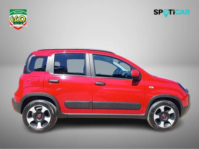 FIAT Panda Cross 1.0 FireFly S&S Hybrid