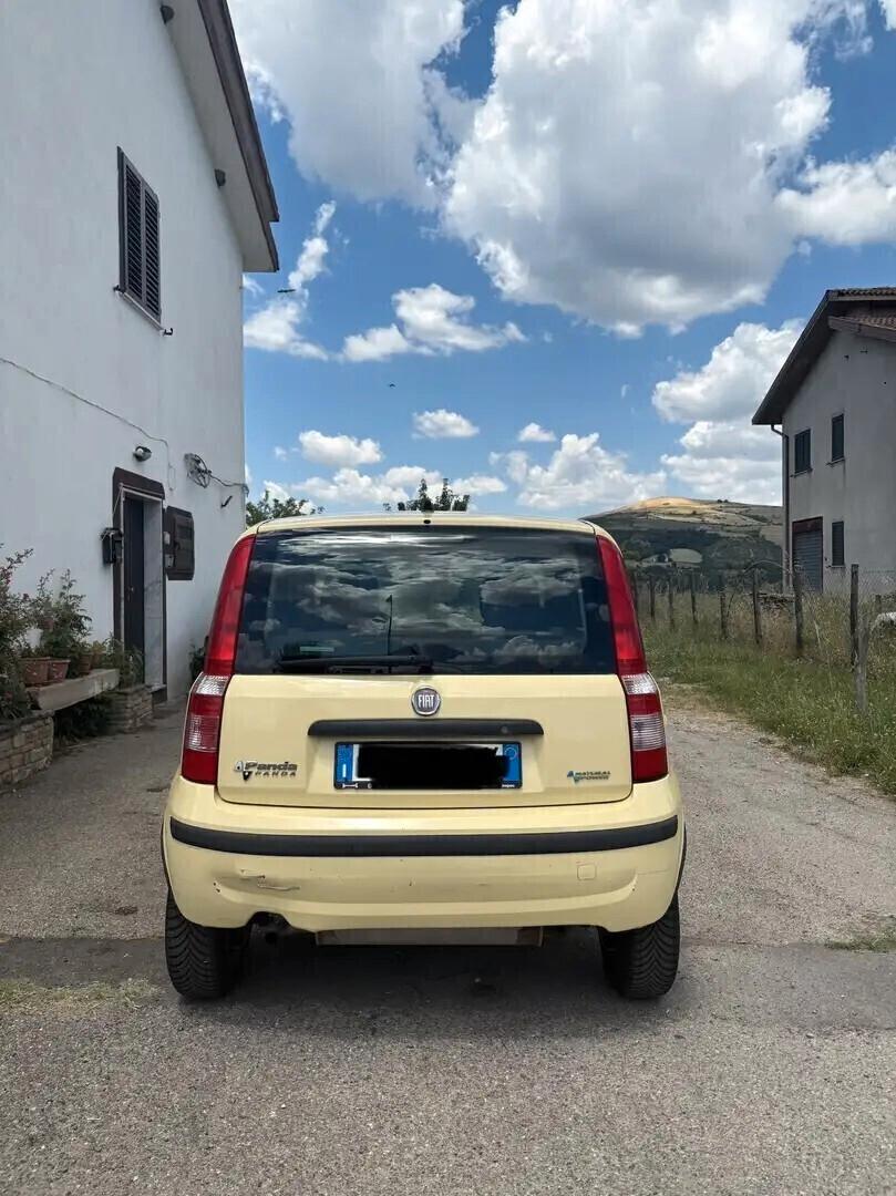 Fiat Panda 1.2 Dynamic Natural Power Mamy