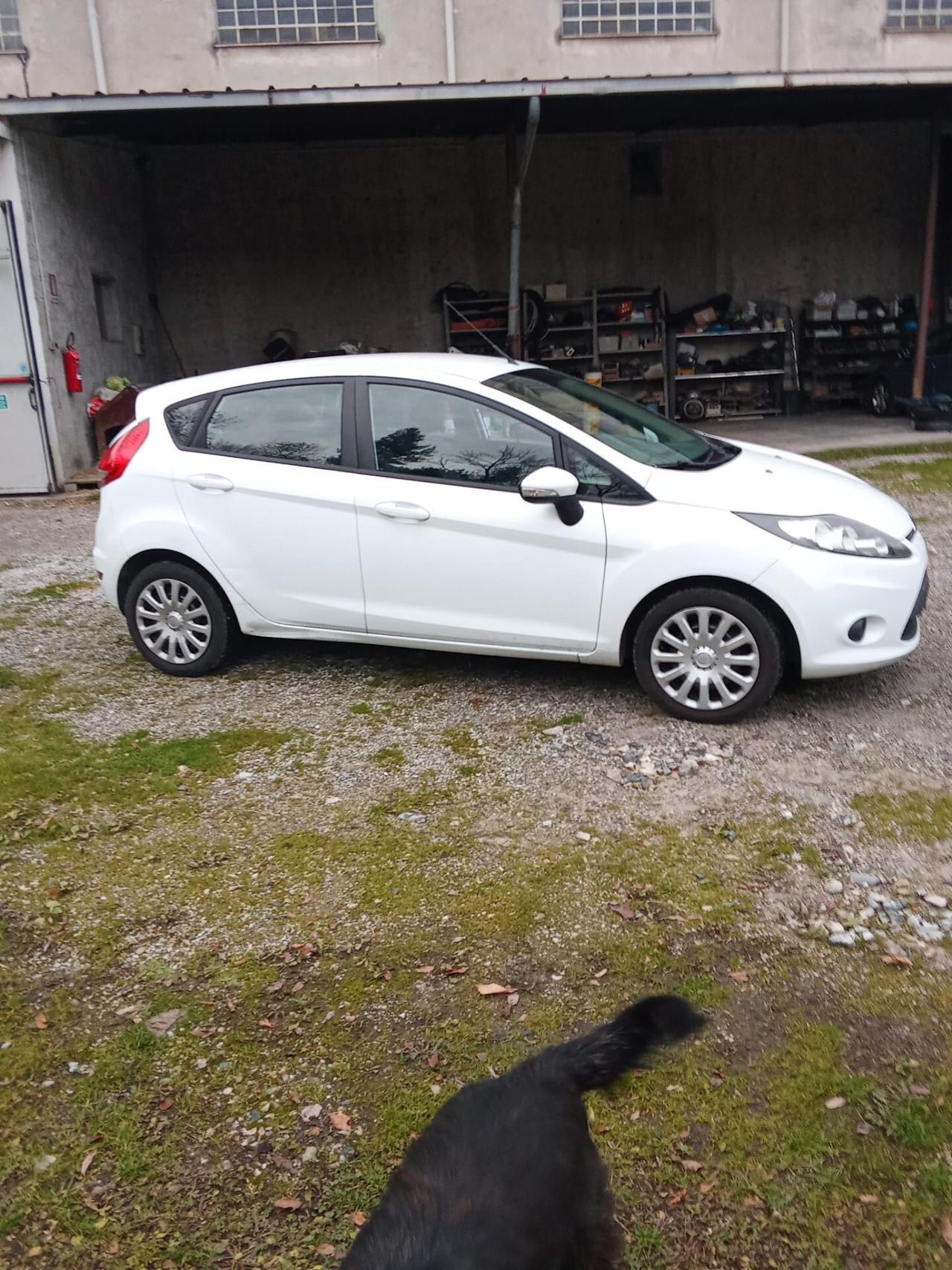 Ford Fiesta 1.4 GPL