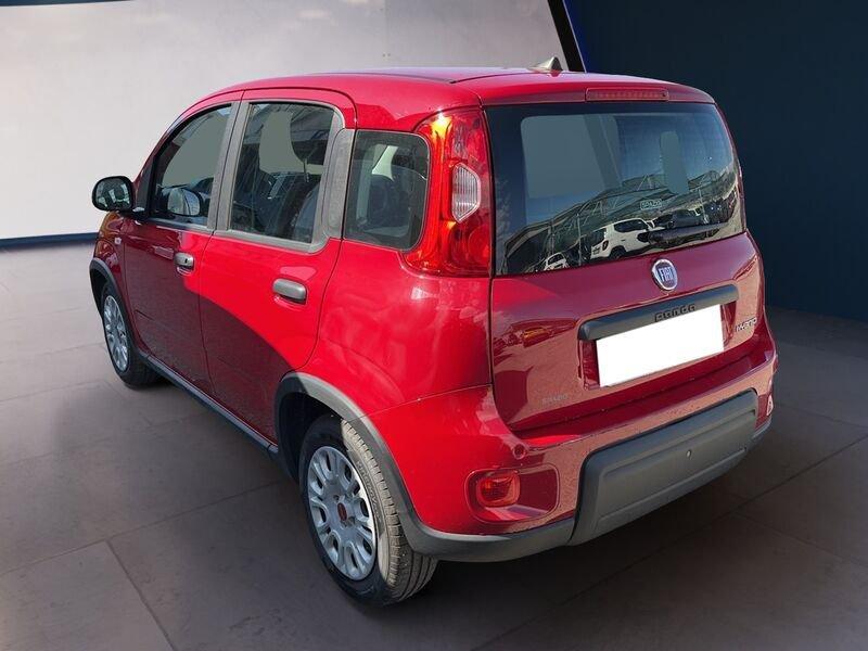 FIAT Panda My24 1.0 70cv Hybrid Panda