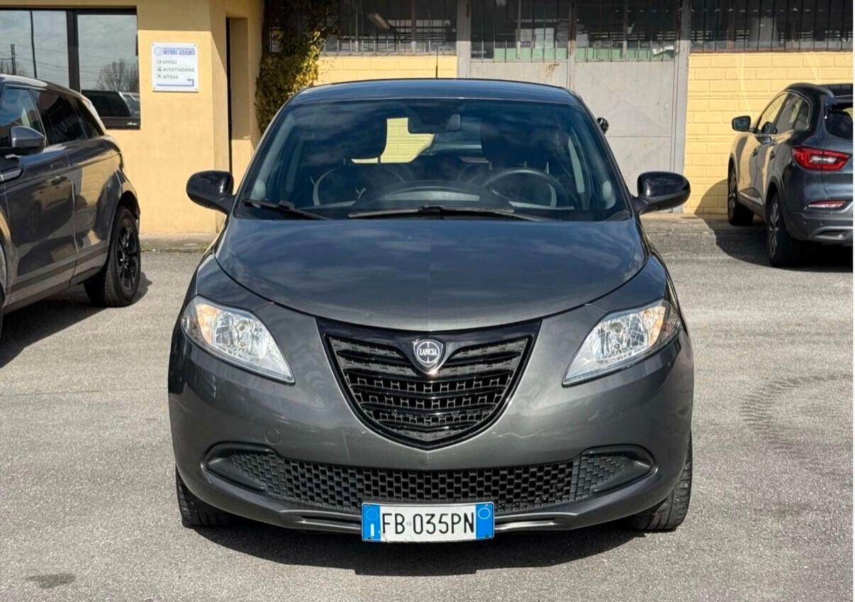 Lancia Ypsilon 1.2 69 CV 5 porte Elefantino