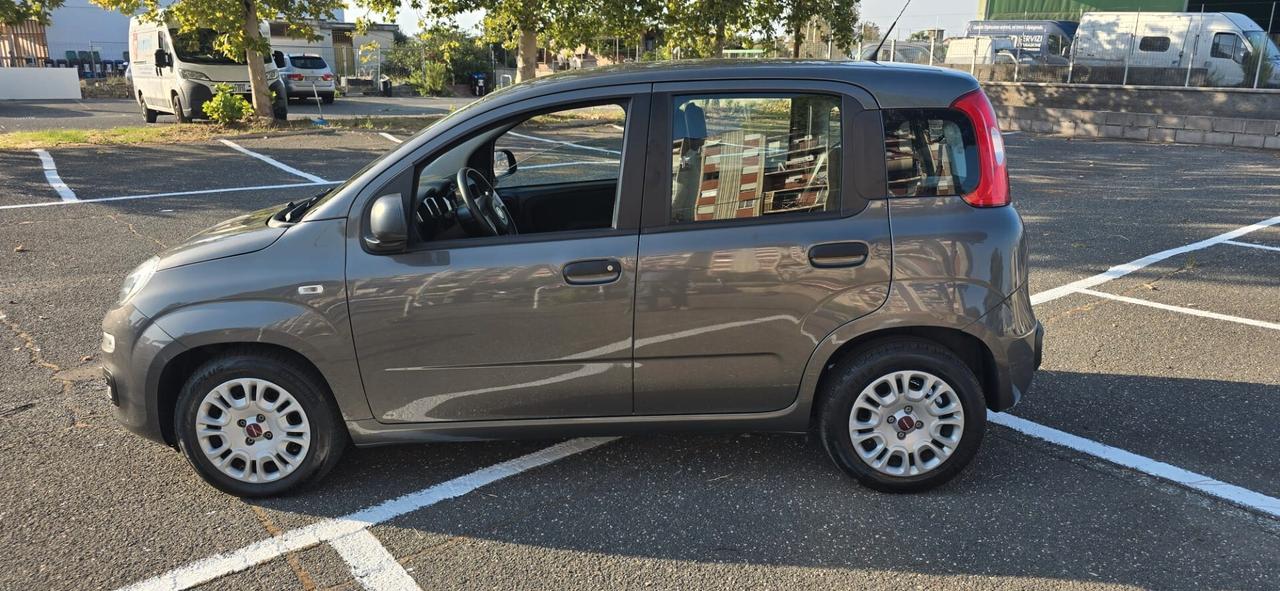 Fiat Panda 1.0 FireFly S&S Hybrid solo 60671 km
