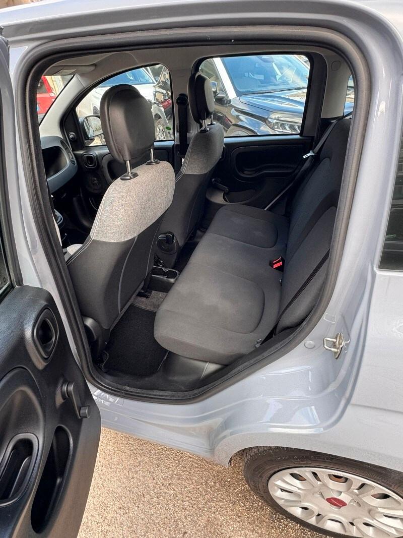 FIAT Panda 3ª serie Panda 1.0 FireFly S&S Hybrid