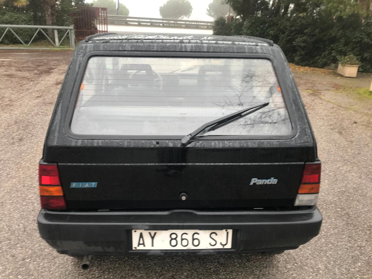 Fiat Panda 900 i.e. cat Young