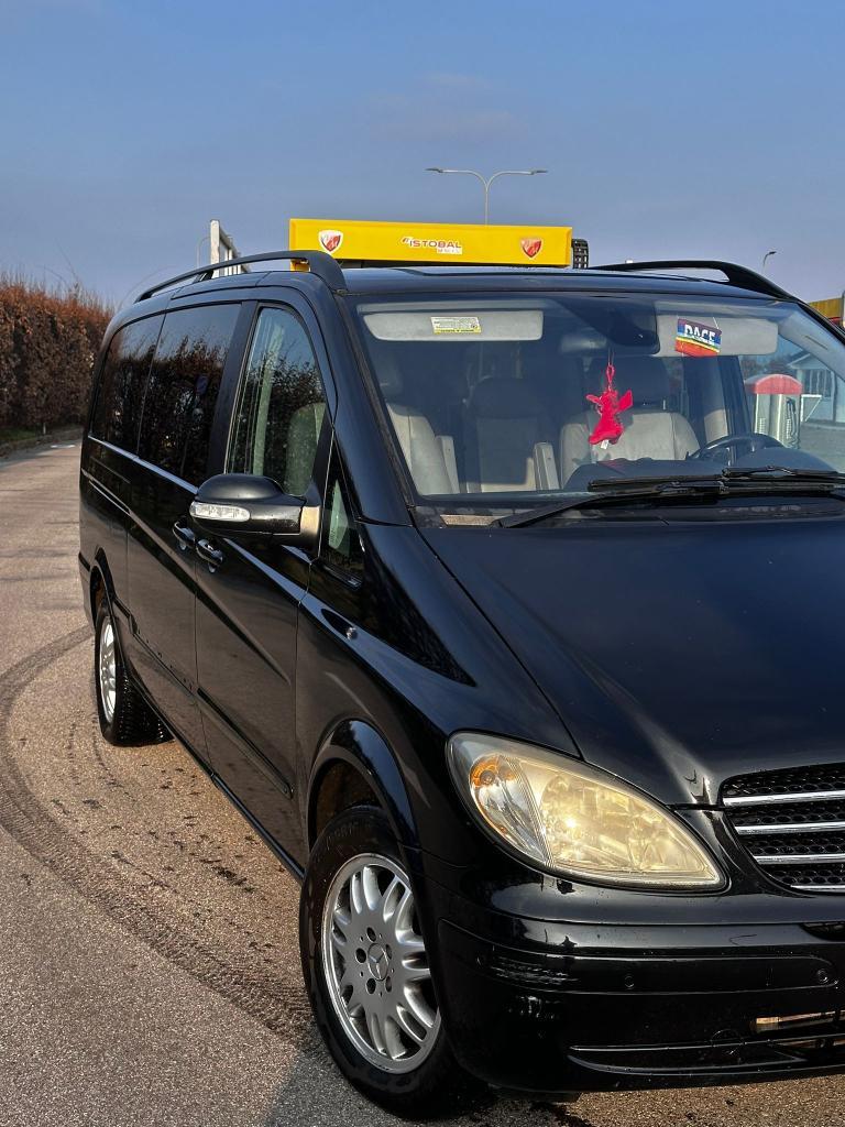 Mercedes Viano PULMINO