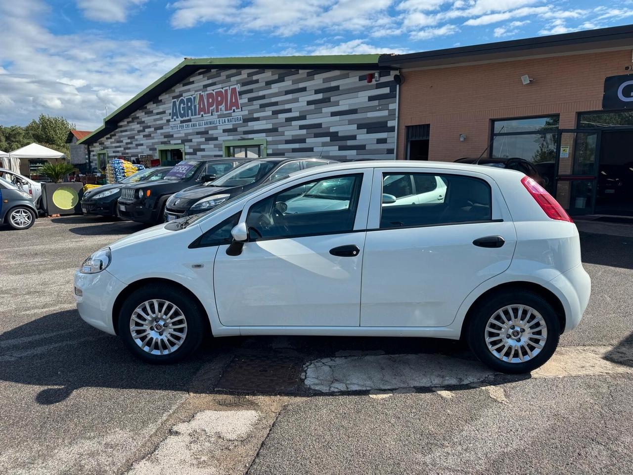 Fiat Punto 1.2 BENZ 5P NEOPATENTATI 2016
