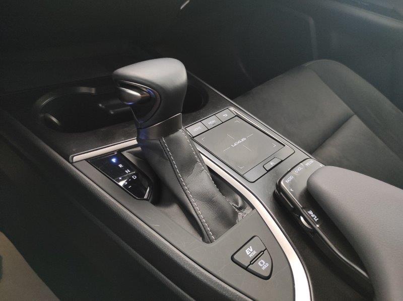 LEXUS UX - UX Hybrid Business