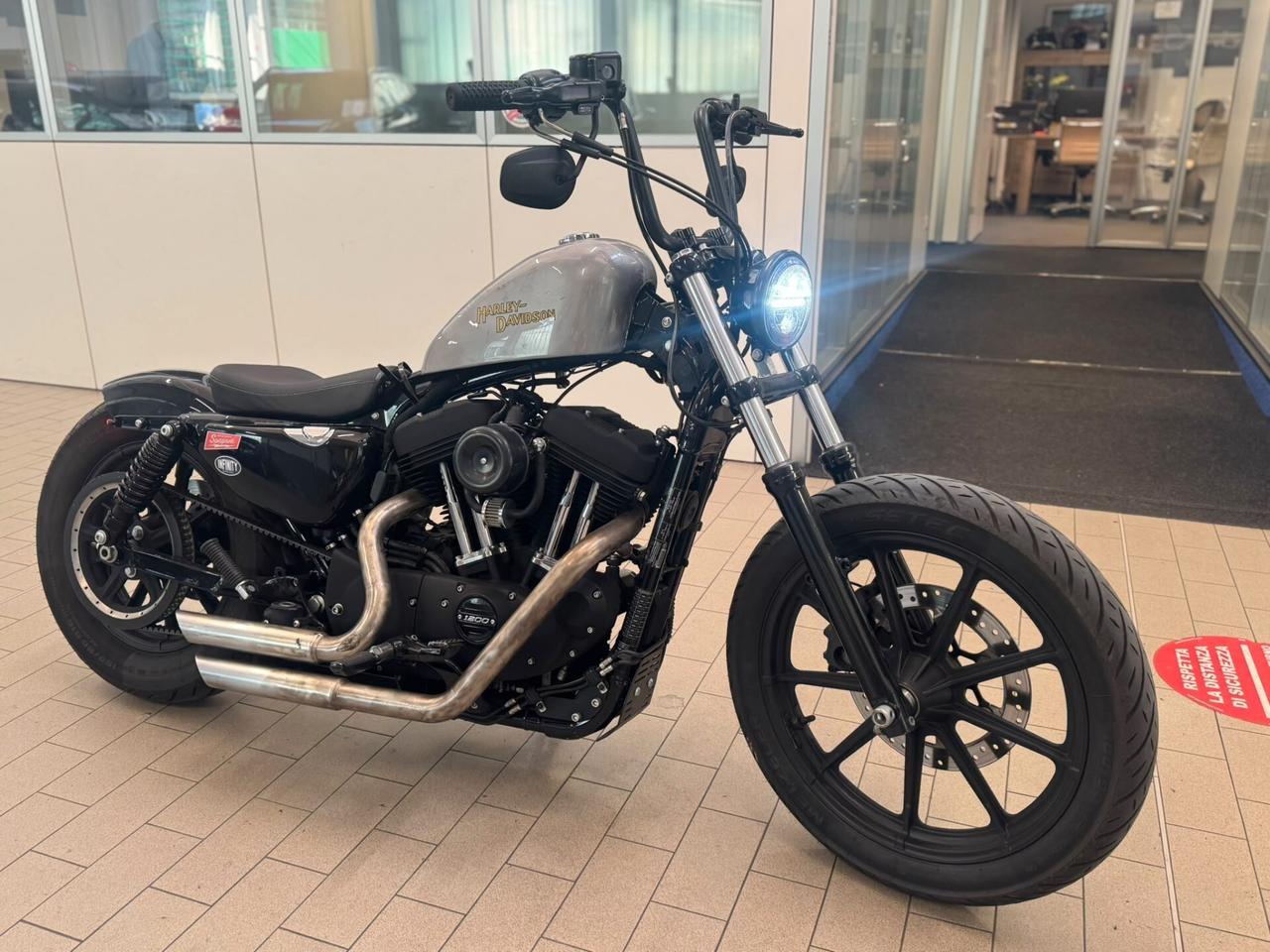 Sportster Iron 1200 devastante