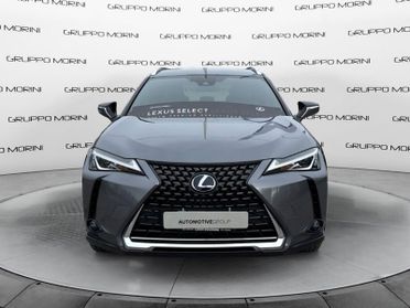 Lexus UX UX 250h 2.0 Business 2wd cvt