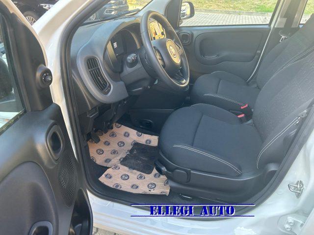 FIAT Panda 1.0 HYBRID 5 POSTI +PACK CITY KM 0