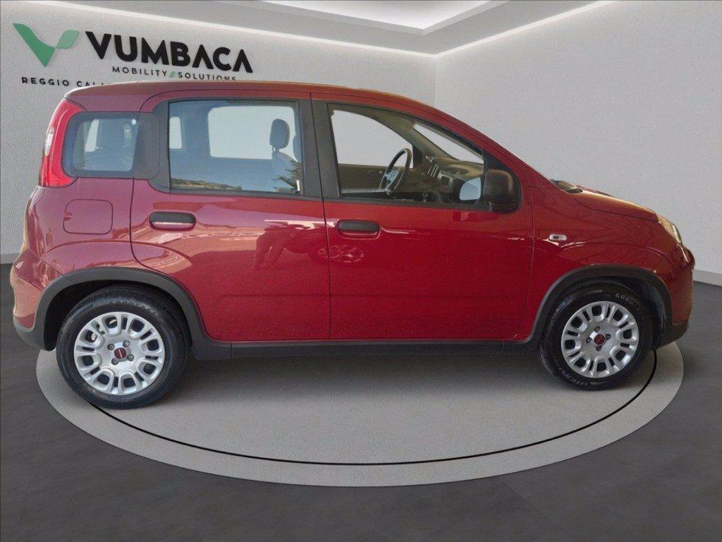 FIAT Pandina 1.0 firefly hybrid Icon s&s 70cv del 2024