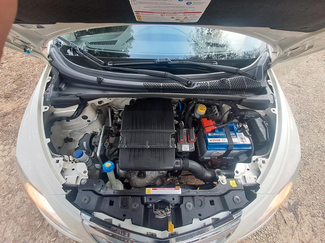 Lancia Ypsilon 1.2 69 CV 5 porte S&S Platinum