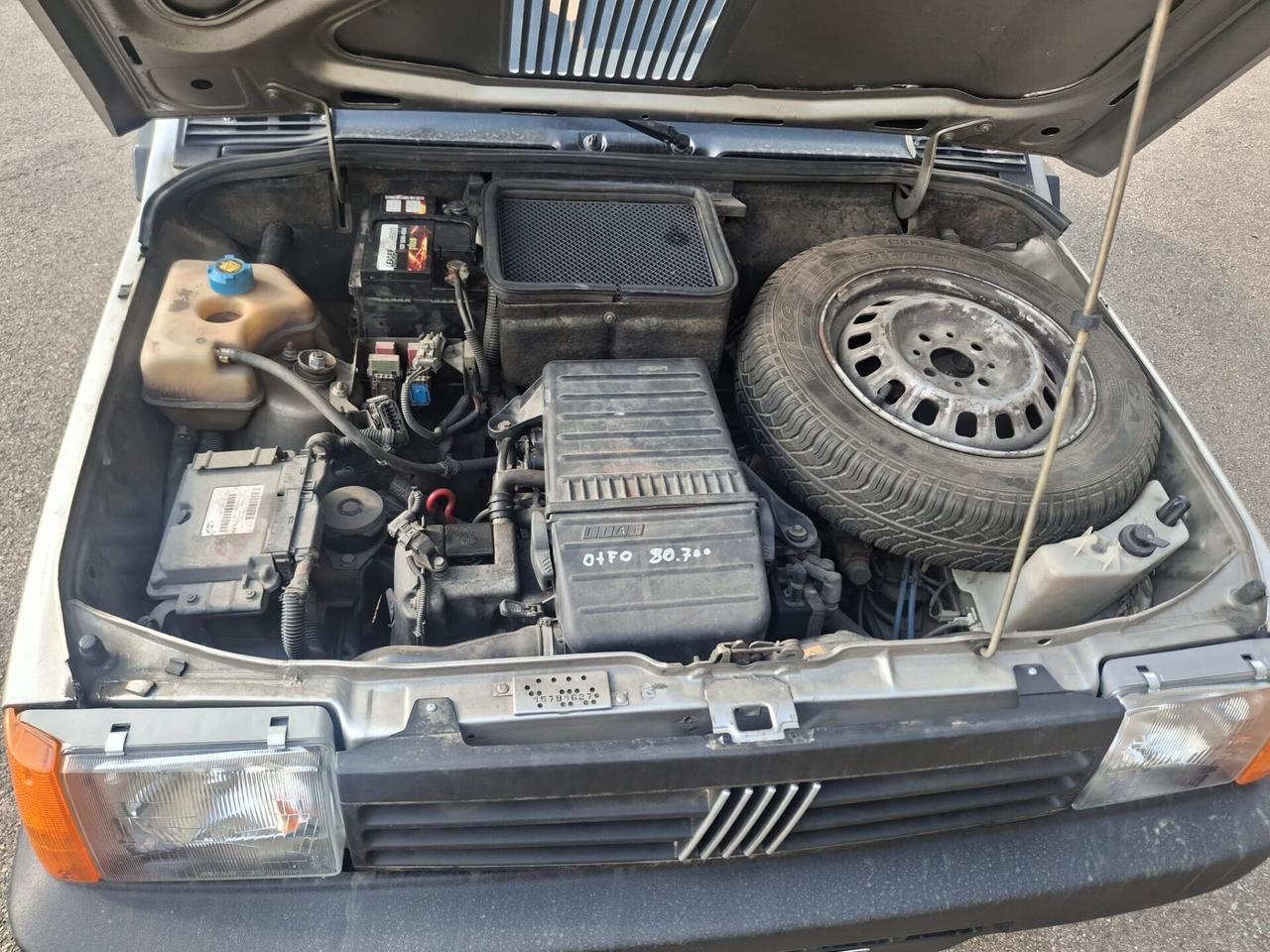 Fiat Panda 1100 i.e. cat Young