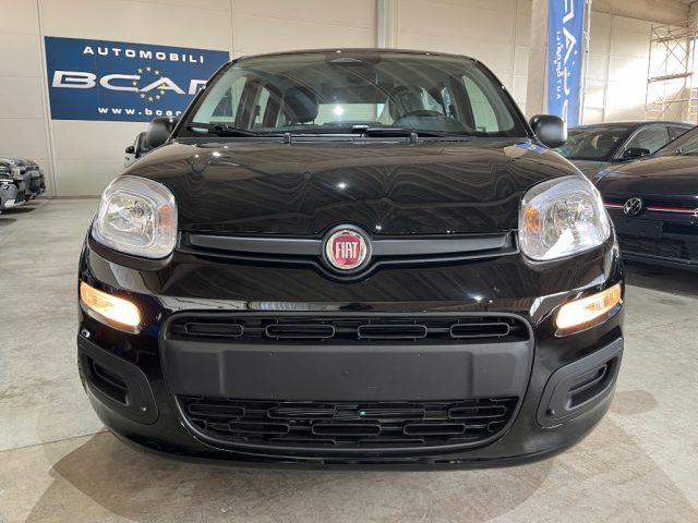FIAT Panda 1.0 FireFly Hybrid Icon Pandina/PACK CITY+PARK