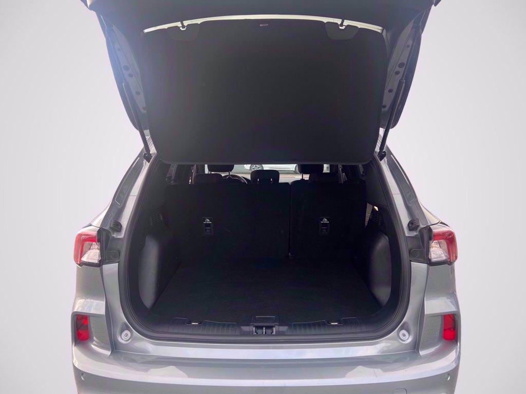 FORD Kuga 1.5 ecoblue ST-Line 2wd 120cv del 2022