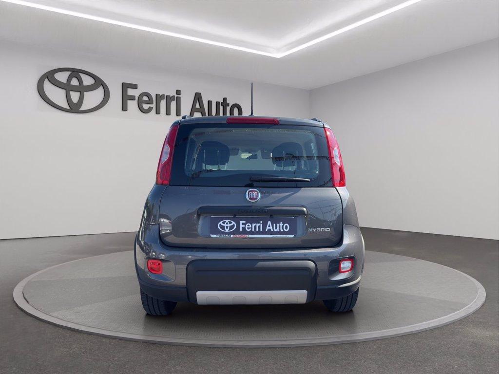 FIAT Panda 1.0 firefly hybrid city life s&s 70cv del 2023