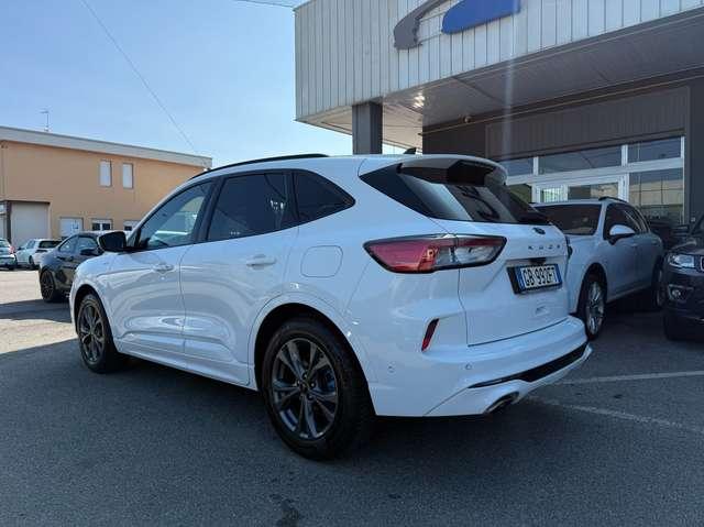 Ford Kuga 1.5 ecoblue ST-Line 2wd 120cv auto