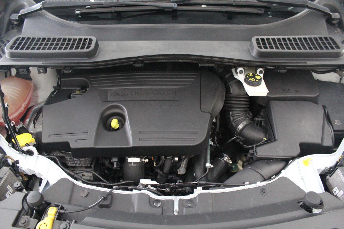 FORD - Kuga - 2.0 TDCI 120 CV S&S 2WD ST-Line
