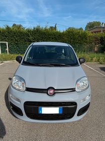 Fiat Panda 1.2 - NEOPATENTATI - 12 MESI DI GARANZIA -