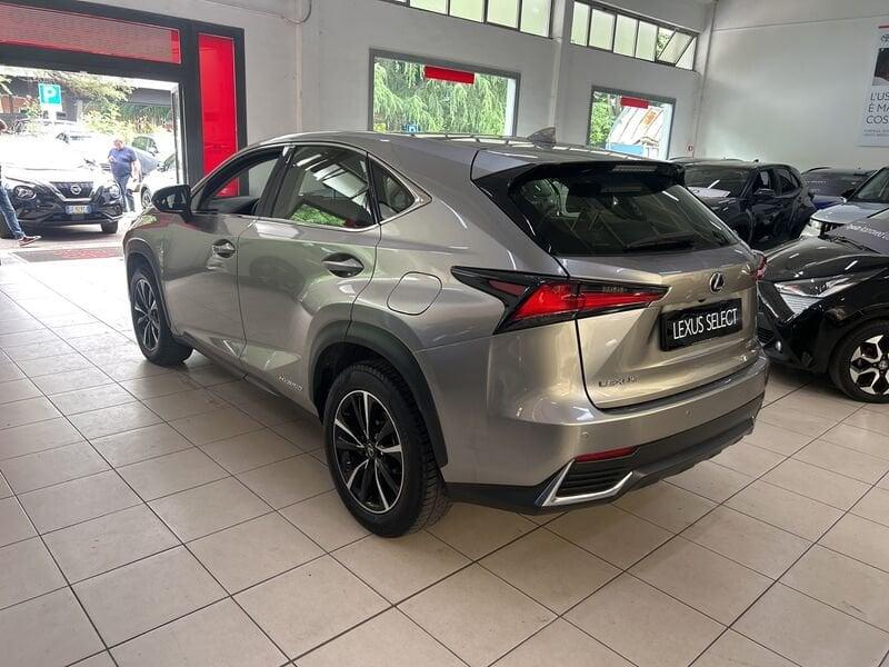 Lexus NX Hybrid 4WD Premium