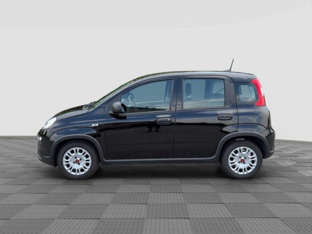 FIAT Panda Panda 1.0 FireFly S&S Hybrid