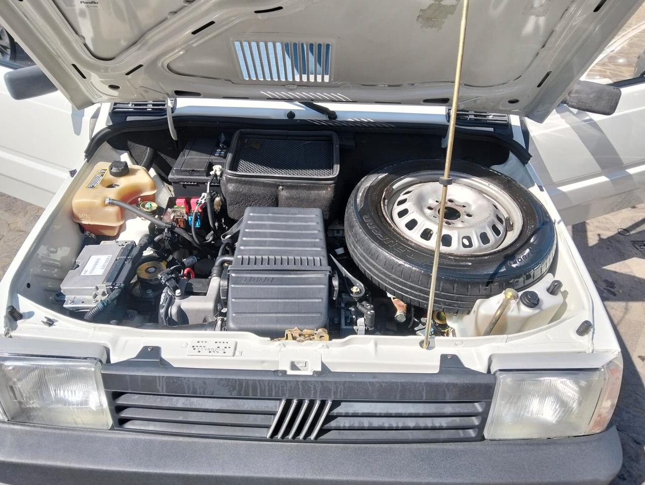 Fiat Panda 1100 i.e. cat Young