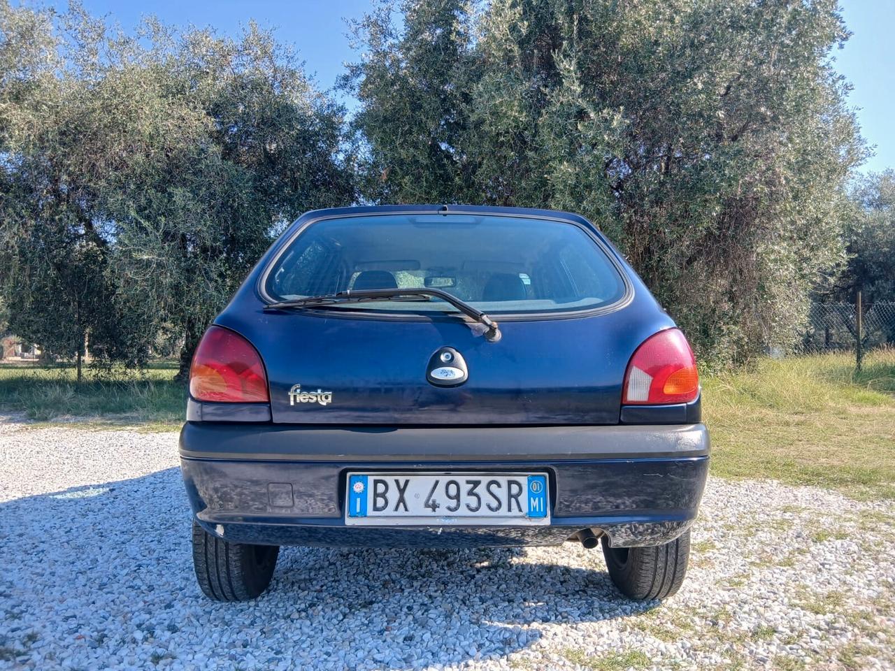 Ford Fiesta 1.2i 16V cat 5 porte Ambiente