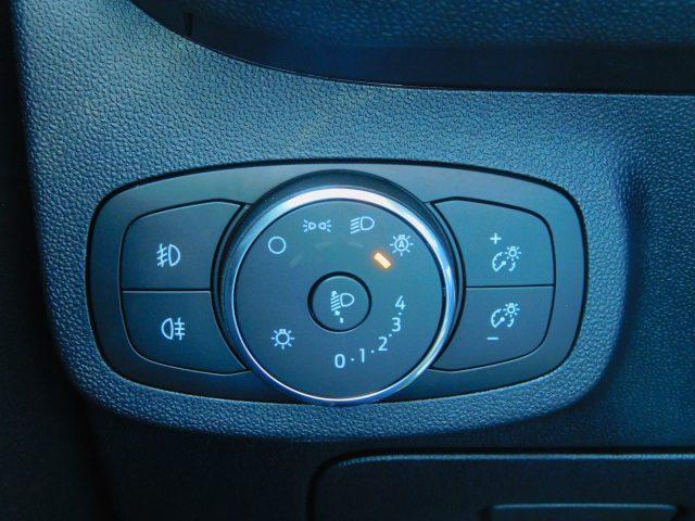 FORD Fiesta 1.0 Ecoboost 125 CV Hybrid 5 porte Active