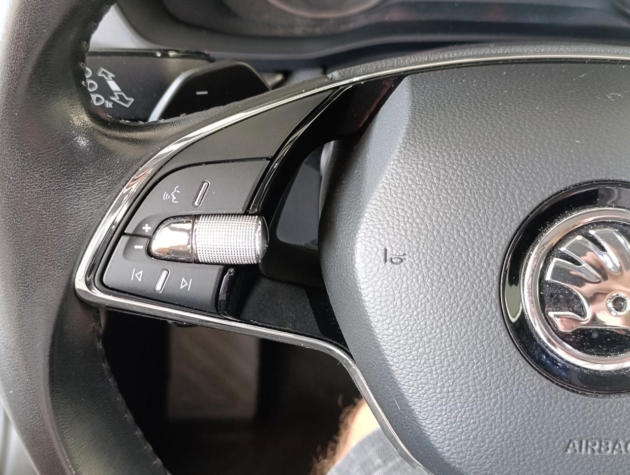 Skoda Octavia Wagon 2.0 tdi evo Ambition 115cv dsg