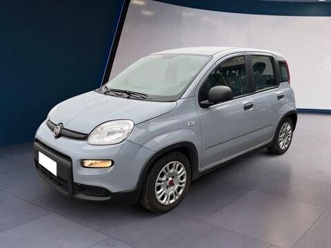 Fiat Panda Hybrid FireFly1.0 S&S 70cv