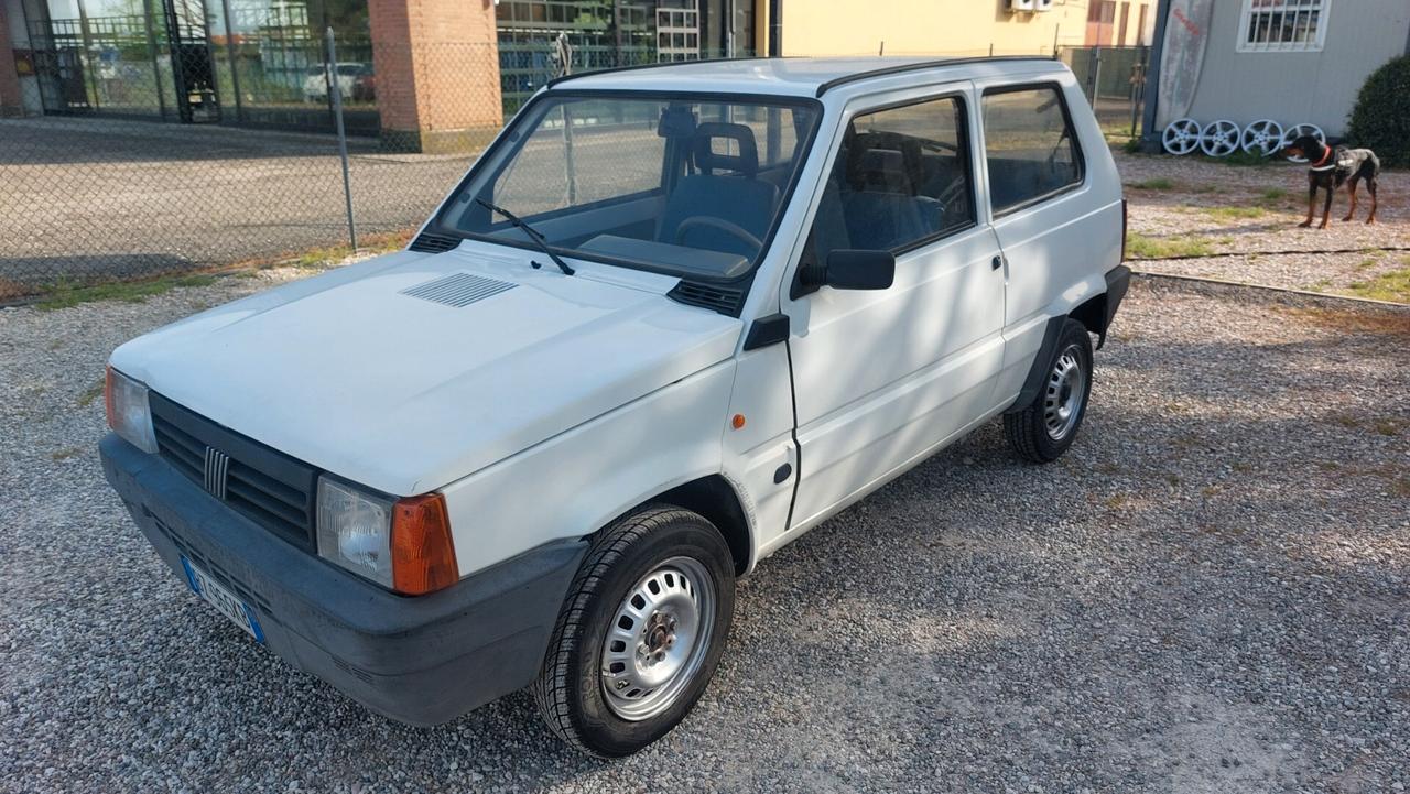 Fiat Panda 1100 i.e. cat Young