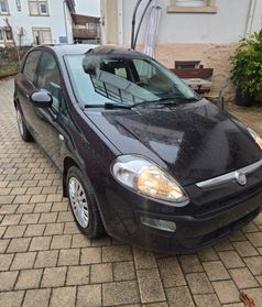 Fiat Punto Evo 1.4 5 porte Dynamic