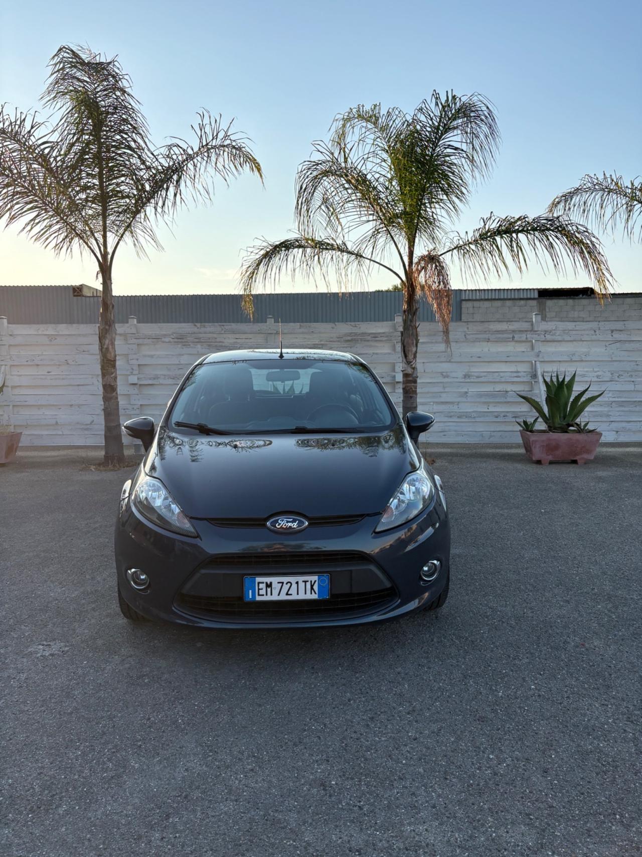 Ford Fiesta 1.6 TDCi 95 CV 5p. Tagliando eseguito